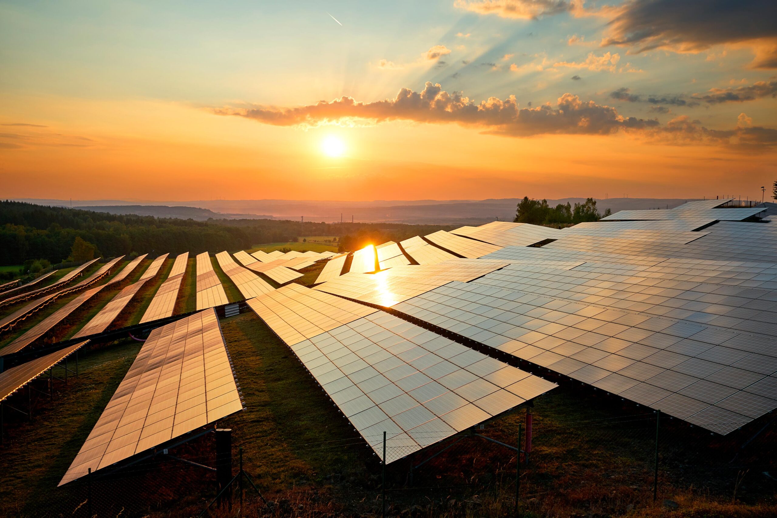 Chef(fe) de Projets Développement PV – AgriPV (H/F) – Paris